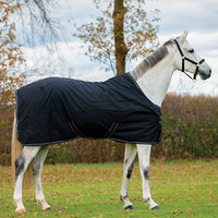 Dominick Stable Rug Lite (0g)