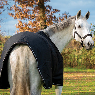 Dominick Stable Rug Lite Plus (200g)