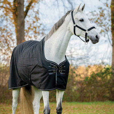 Dominick Stable Rug Lite (0g)