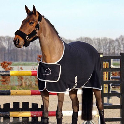 Dominick Fleece Show Rug
