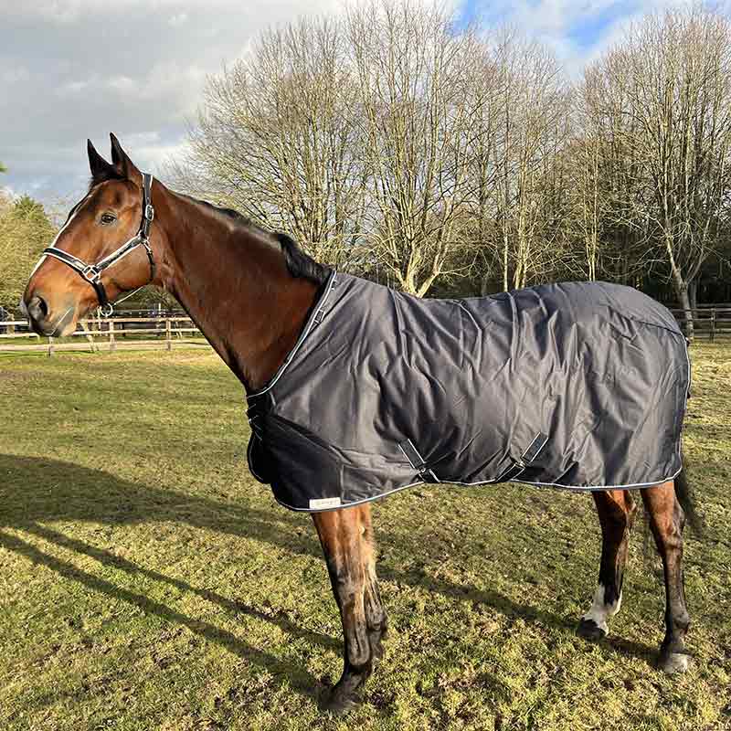 Dominick Turnout Rug Lite (0g)