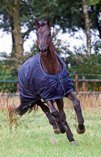 Dominick Turnout Rug Combi (300g)