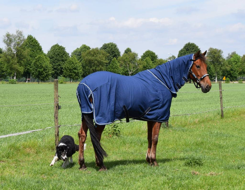 Dominick Fly Cooler Rug