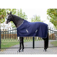 Dominick Thermo Cooler Rug