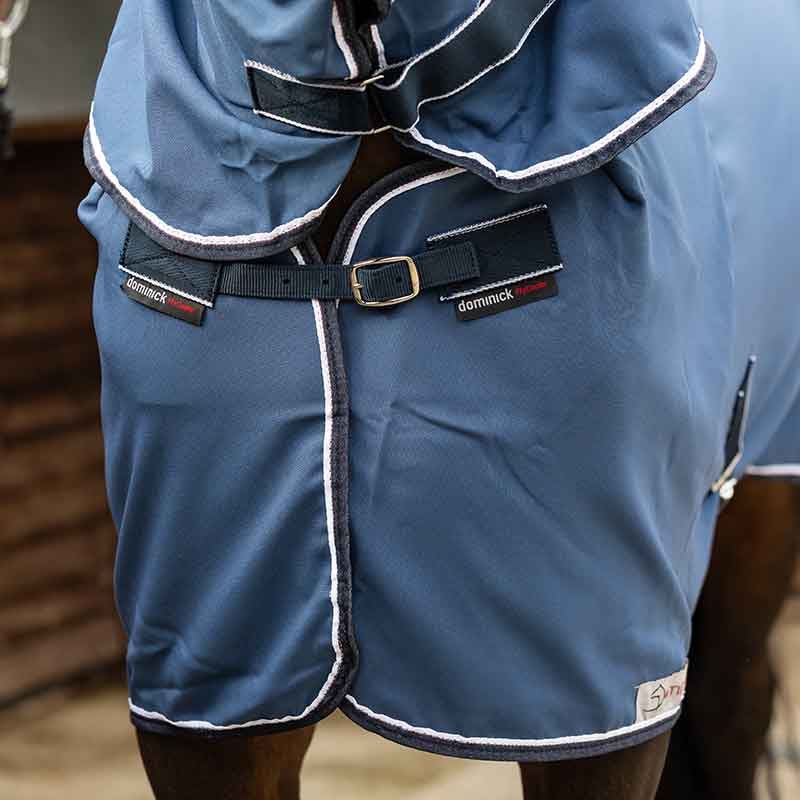 Dominick Fly Cooler Rug