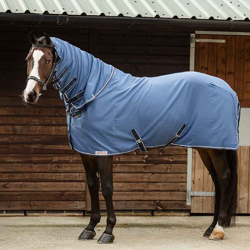 Dominick Fly Cooler Rug
