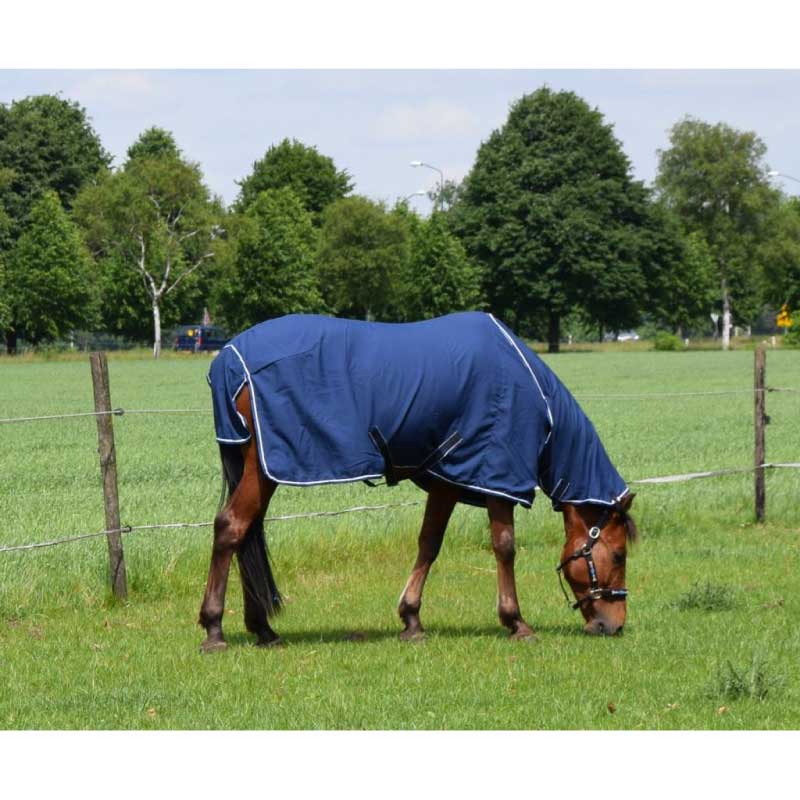 Dominick Fly Cooler Rug