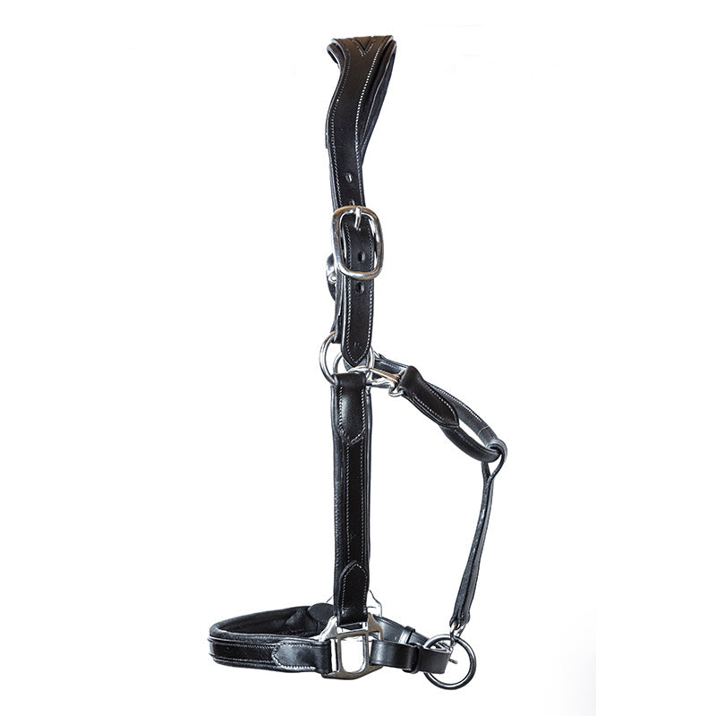 Luxe of London Anatomical Leather Halter - black