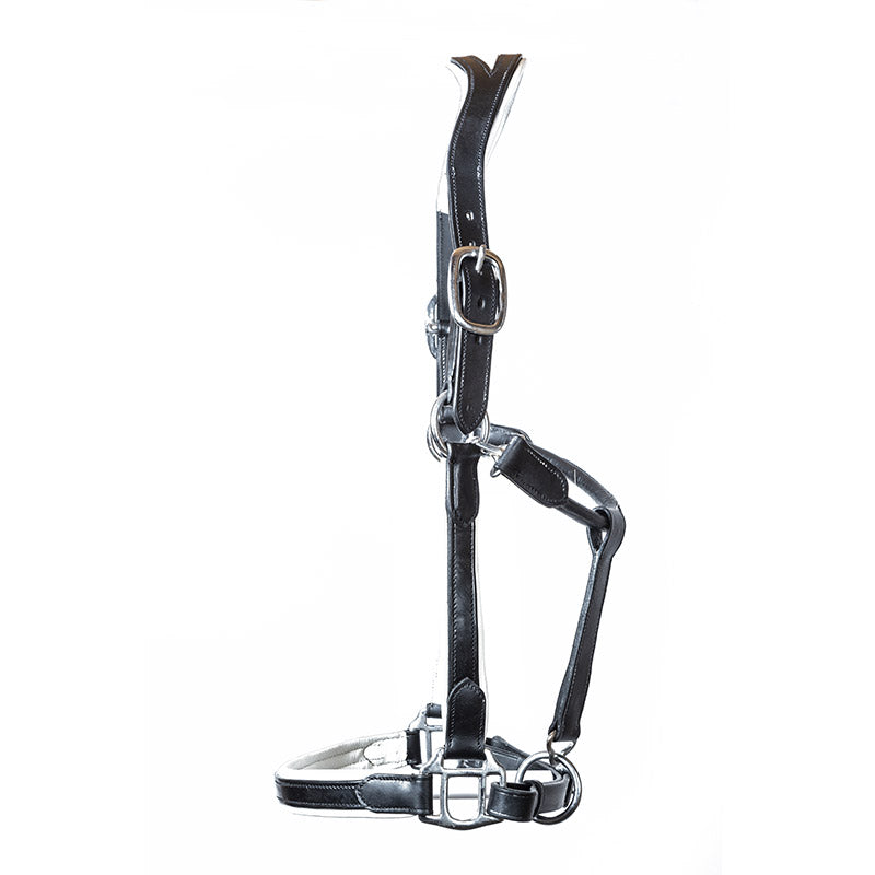 Luxe of London Anatomical Leather Halter - White/Black