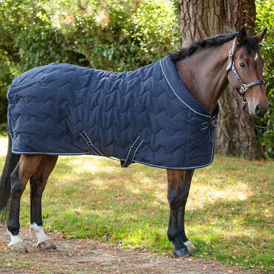 Dominick Puffed Fleece Rug (250g)