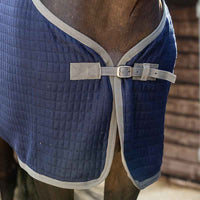 Dominick Thermo Cooler Rug