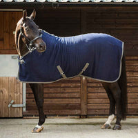 Dominick Thermo Cooler Rug
