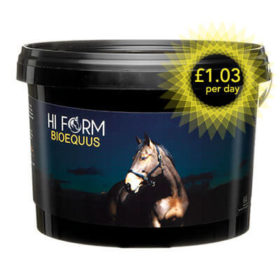 ulcer supplement for horses -Hi Form BioEquus Digestive Health Supplement
