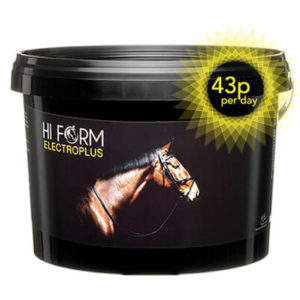 Electrolyte Supplement for horses -Hi Form Electroplus