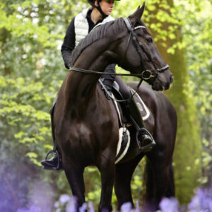 For The Horse