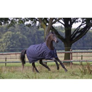 Dominick Turnout Rug Combi (300g)