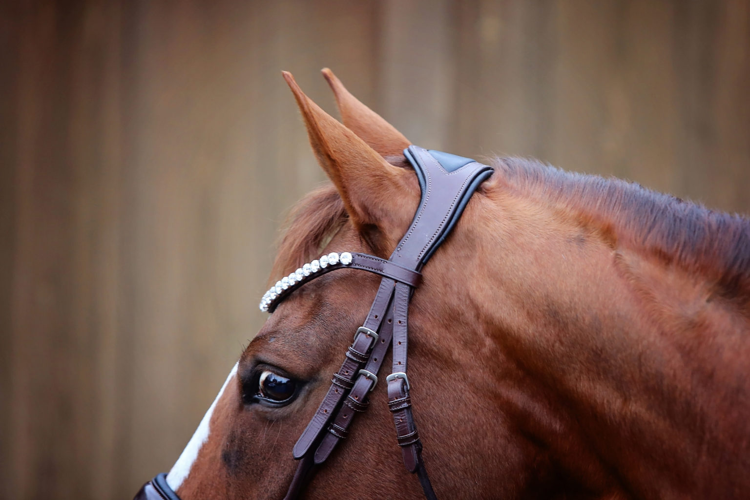 Luxe of London Oxford Anatomical Rolled Snaffle Bridle The Centre Line