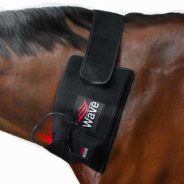 Wave Red Light 4.0 Deep Spectrum Pro Therapy Pad - Small